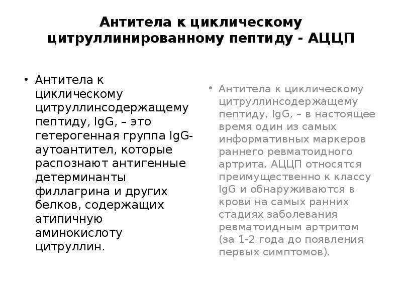 Антител к циклическому цитруллиновому пептиду аццп. Антитела к циклическому цитруллиновому пептиду анализ норма. аццп (антитела к циклическому цитруллиновому пептиду). антитела к цитруллин содержащему пептиду норма. антитела к циклическому цитруллинированному пептиду аццп что это.
