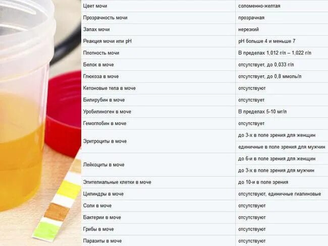 Цвет мочи. Анализ мочи цвет. Нормальный цвет мочи. Здоровый цвет мочи. Здоровая моча какого цвета у женщин должна