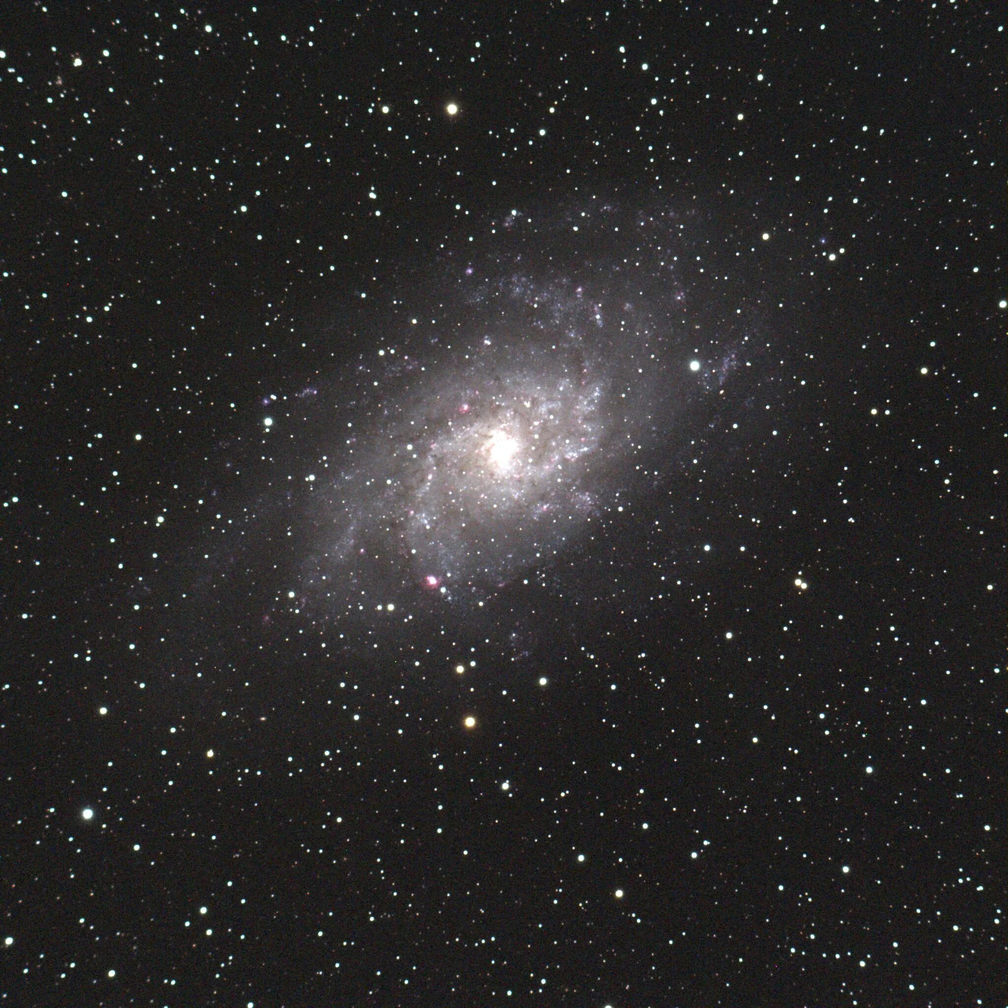 NGC 5272 a9fs. NGC 5525. NGC 5559. NGC 5053.