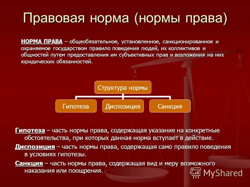 Все социальные нормы являются общеобязательными