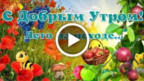 Не лето добрый