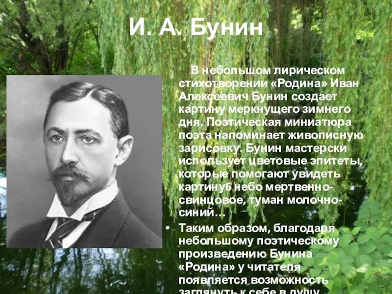 Кто из писателей 20 века создавал произведения. Стихотворение Ивана Бунина Родина. Бунин Родина 1891.