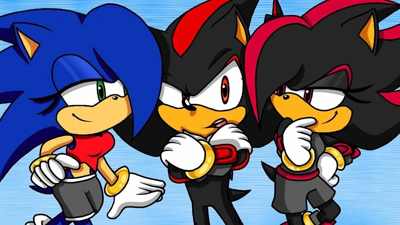 Sonic compilation. Shadow Shadina Sonic. Sonic x Shadina. Shadina the Hedgehog and Shadow. Sonic and Shadow Kiss.