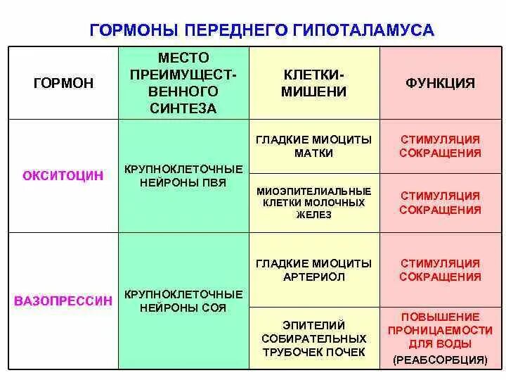 Сколько делают гормоны. Эндокринные железы гормоны органы мишени. Окситоцин клетки мишени. Клетки мишени гормонов. Органы мишени окситоцина и вазопрессина.