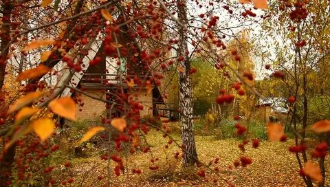 В осеннем саду песня