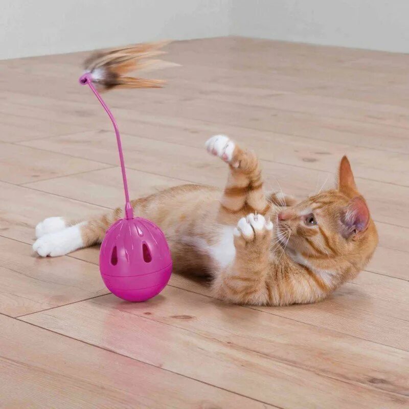 Развлечения для котов. Автоматическая игрушка для кота. Мячик для кота. Игрушка интерактивная для кошек дразнилка. Интерактивная игрушка для кошек на веревке.