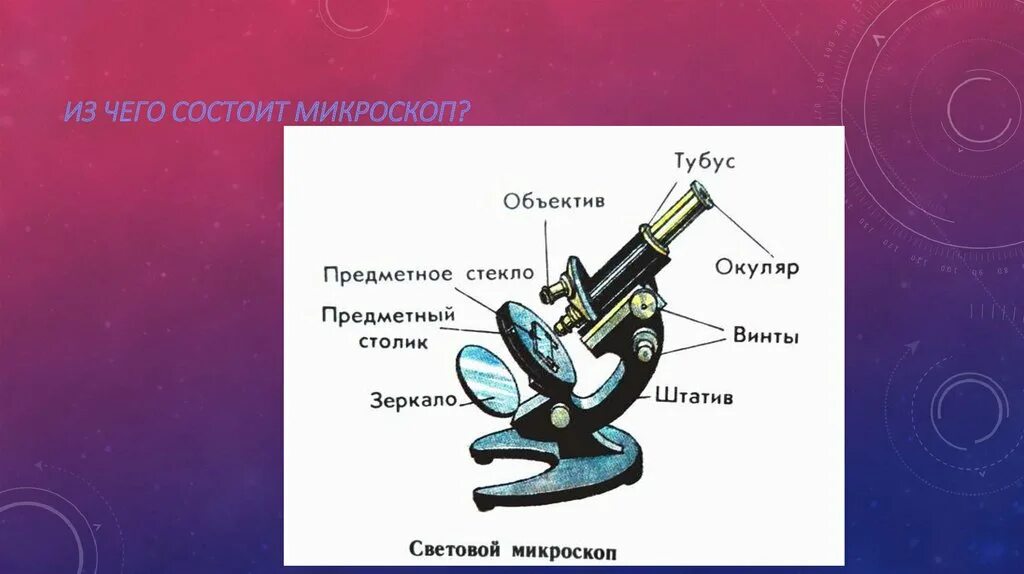 Части микроскопа биология 5 класс. Из чего состоит микроскоп картинки. Строение микроскопа 5 класс биология. Основные части микроскопа 5 класс биология. Каждая часть микроскопа