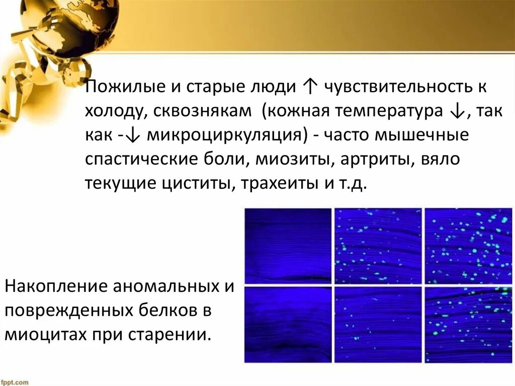 Чувствительный к холоду з. Чувствительность к холоду. Чувствительный к холоду. Низкая чувствительность к холоду. Повышенная чувствительность к холоду.