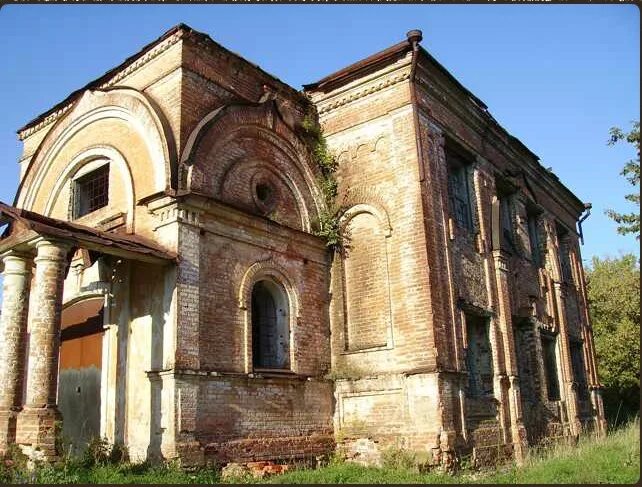 найди собаку. найди собаку ответ. найди собаку. найди кошку среди собак. найди кота среди собак.