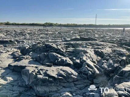 Уровень томи в томске