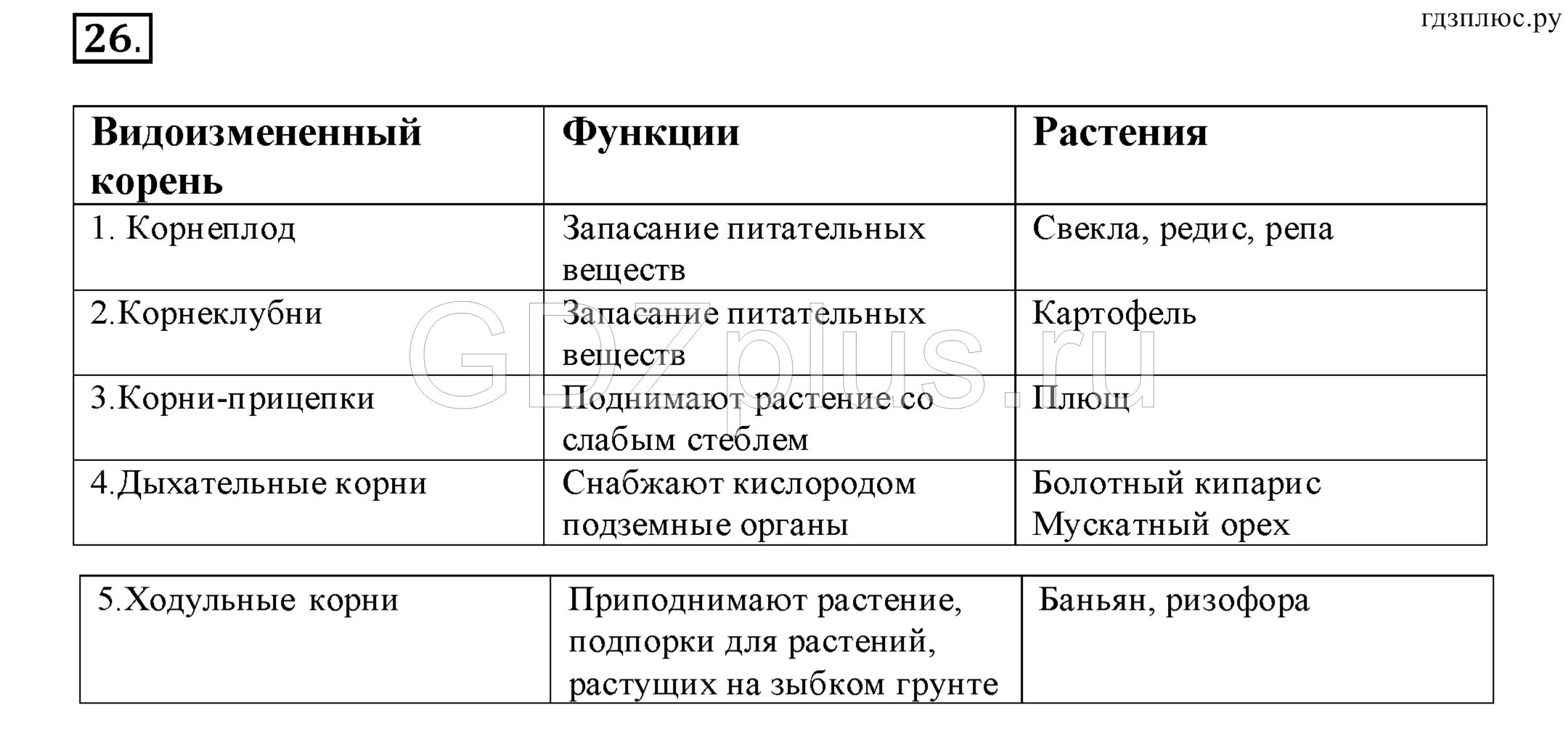 Пересказ биологии 6 класс 5 параграф. Шпаргалки по биологии 6 класс. Органы растений таблица. Шпаргалки по биологии 8 класс. Биология 6 класс шпаргалки.