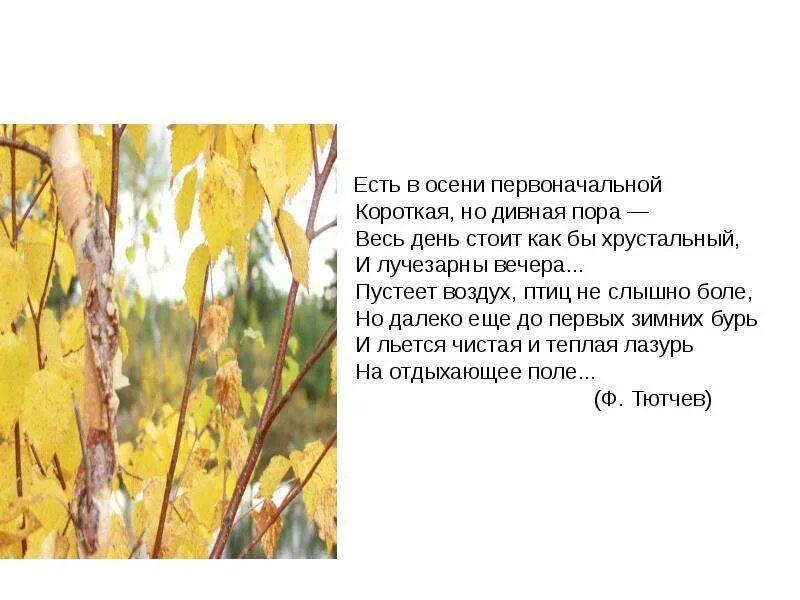 Есть в осени первоночально. Текст есть в осени первоначальной короткая. Стих есть в осени первоначальной короткая но дивная пора. Стих есть в осени первоначальной. Стихотворение тютчева есть в осени первоначальной.