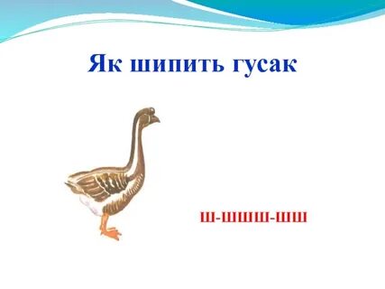 Звук шшш
