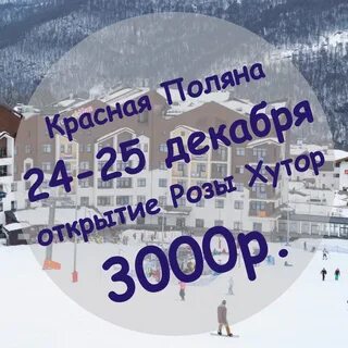 Поляна 24