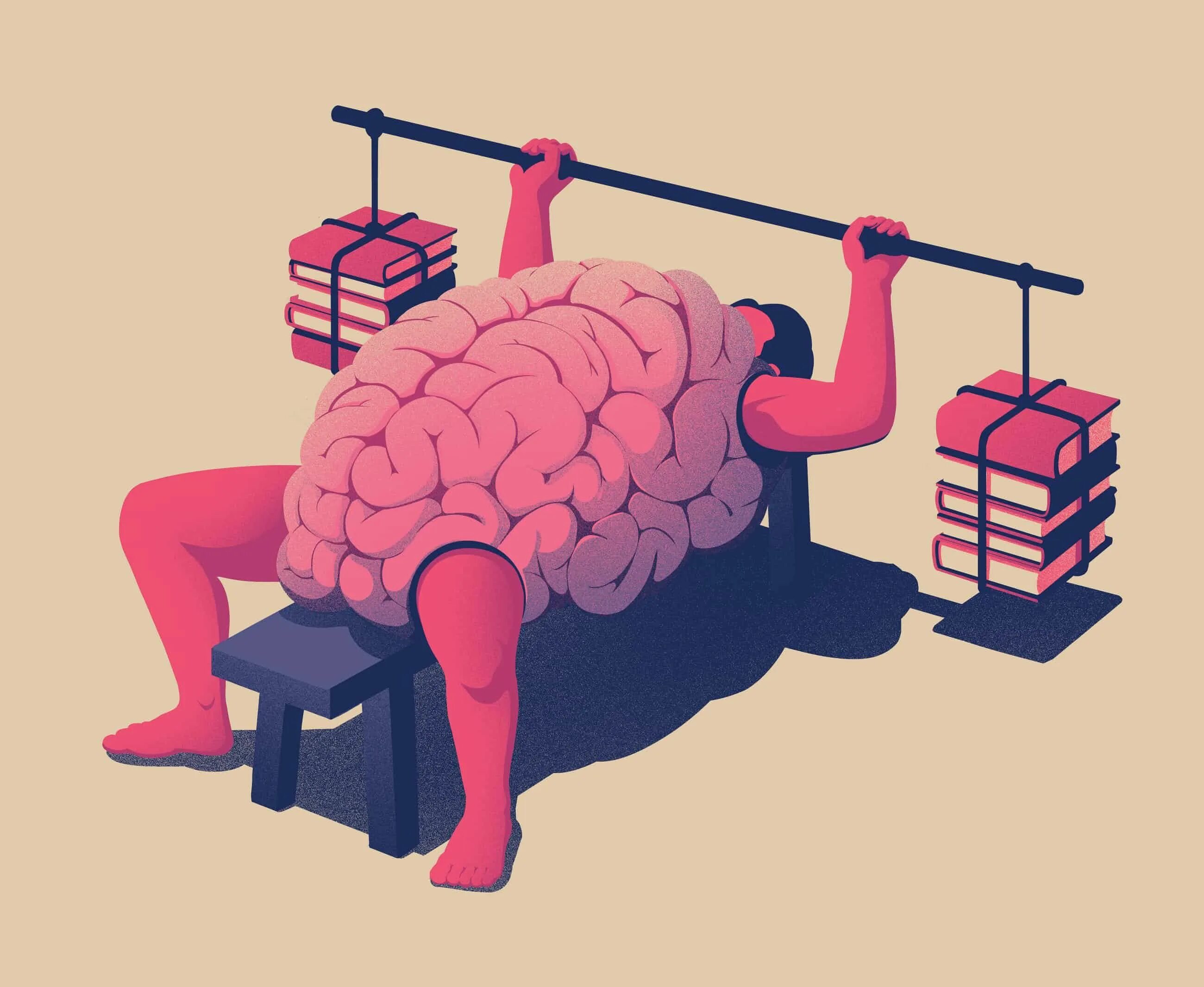 Reading in the brain