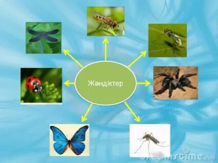 Жезөкшелердің желідегі фотосуреттері