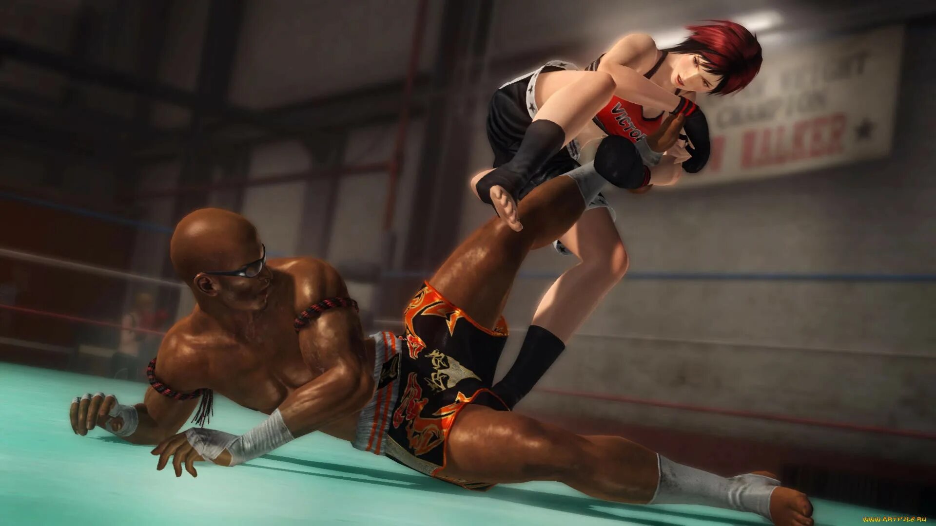 Файтинг с девушками. Dead or alive файтинг. файтинг dead or alive 5. dead or alive файтинг персонажи. dead or alive на пк.