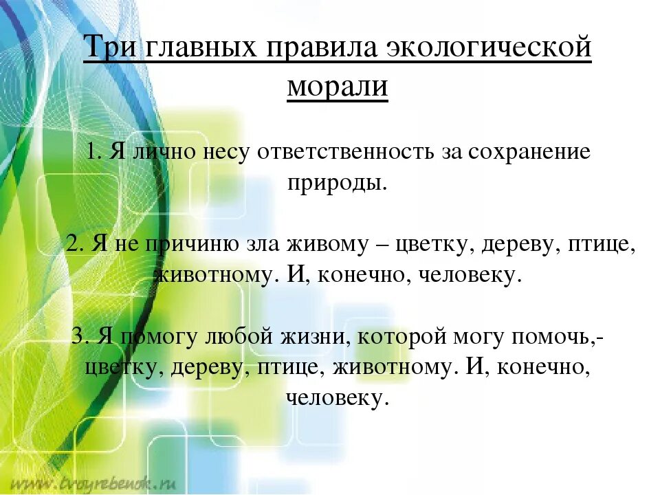 Три главных правил экологии. Экологическая мораль. Главные правила экологии. Главное привидо экологии. Основные правила отношения к природе