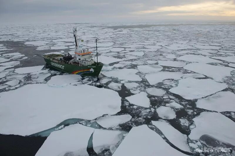 Арктические проблемы россии. Разлив нефти в Арктике. Разлив нефти в Северном Ледовитом океане. Экология Арктики. Нефтяные разливы в Арктике.