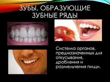 Зуб образовать слова