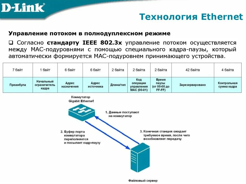 Технологии сети ethernet. Ethernet 2 протокол. Технология локальных сетей Ethernet. Пропускная способность Ethernet порта. Уровни Ethernet кабеля.