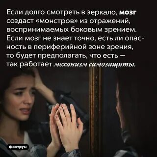 Факты про любимые