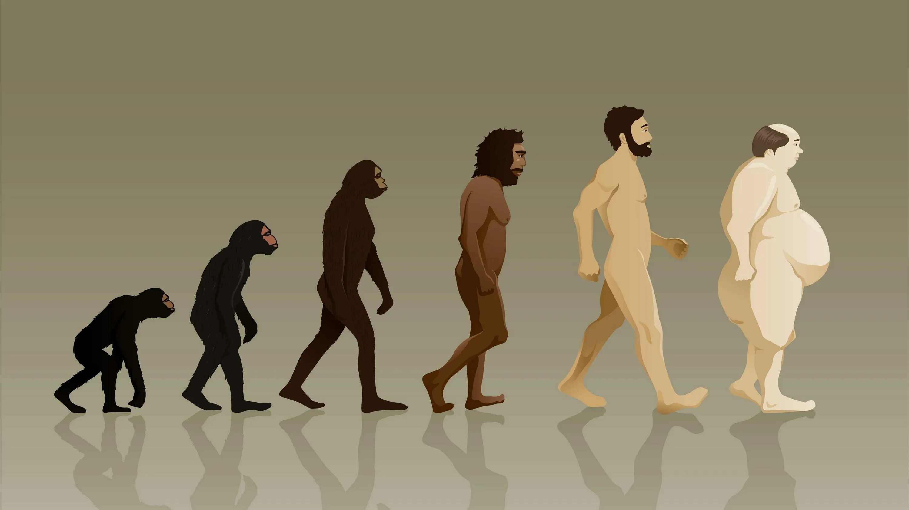 Human Evolution Эволюция человека. Хомо сапиенс Эволюция женщины. Эволюция Дарвин хомо. Этапы эволюции хомо сапиенс. Как появились обезьяны