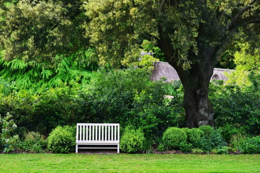 Природа парка грин парк. Gresgarth hall. In the garden green. Газон передний план. Панорама английский сад.
