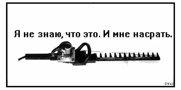 Как переводится се ля. Се ля ви картинки смешные. Селяви смешная картинка. Селяви шутка. Се ля ви это что значит.