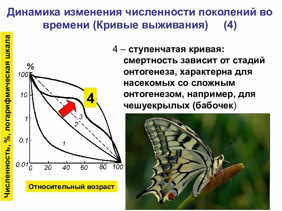 Объясните почему выживают популяции. Кривые выживания экология. типы кривых выживания популяции. кривые выживаемости. график выживаемости насекомых.