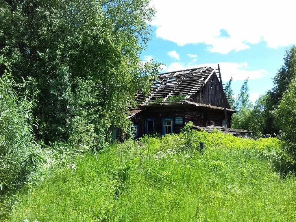 Нижняя сава. Нижняя сава. Ошья пермский край. Деревня верхняя сава пермский край. Нижняя сава.
