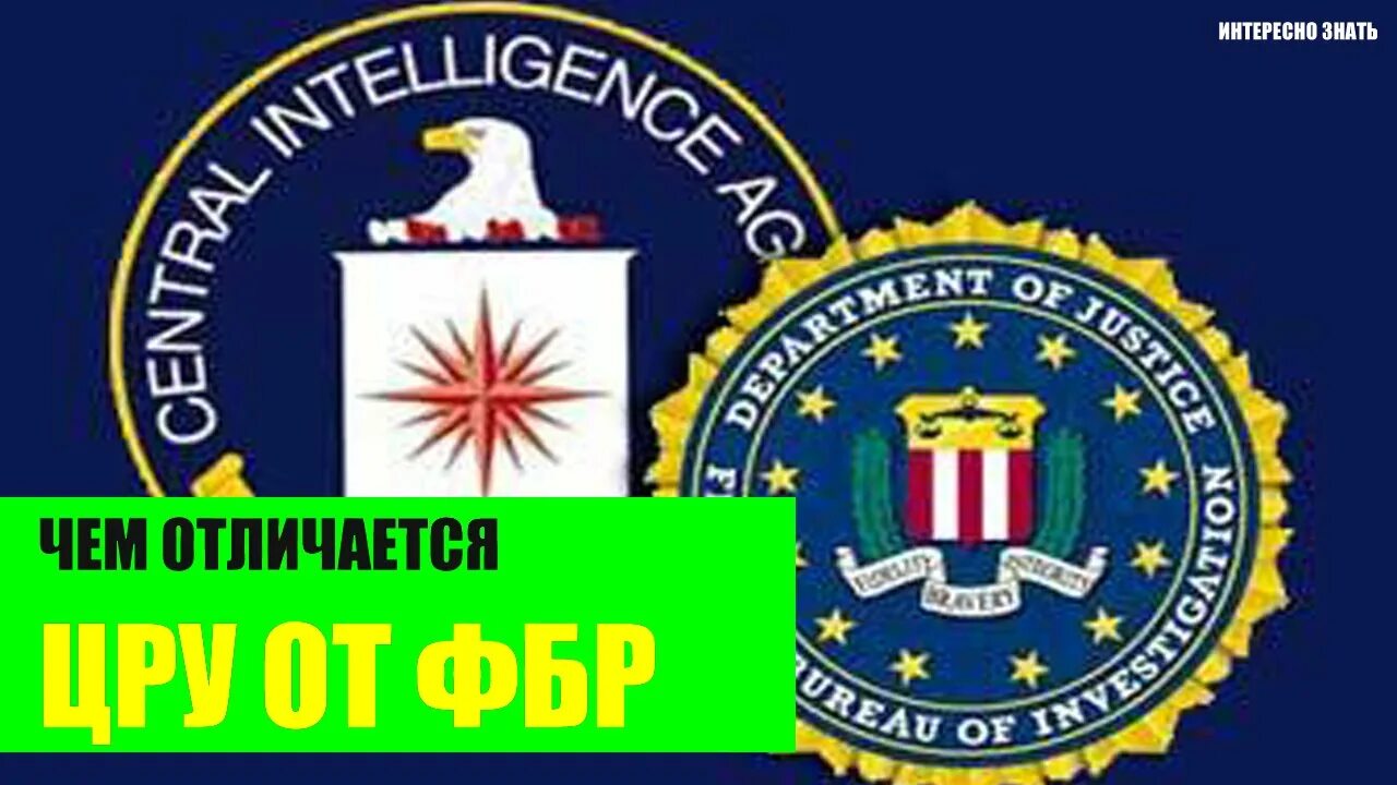 Цру и фбр. Fbi vs цру. Агентство национальной безопасности (сша) структура. Кгб и фбр. Фбр и цру различия.