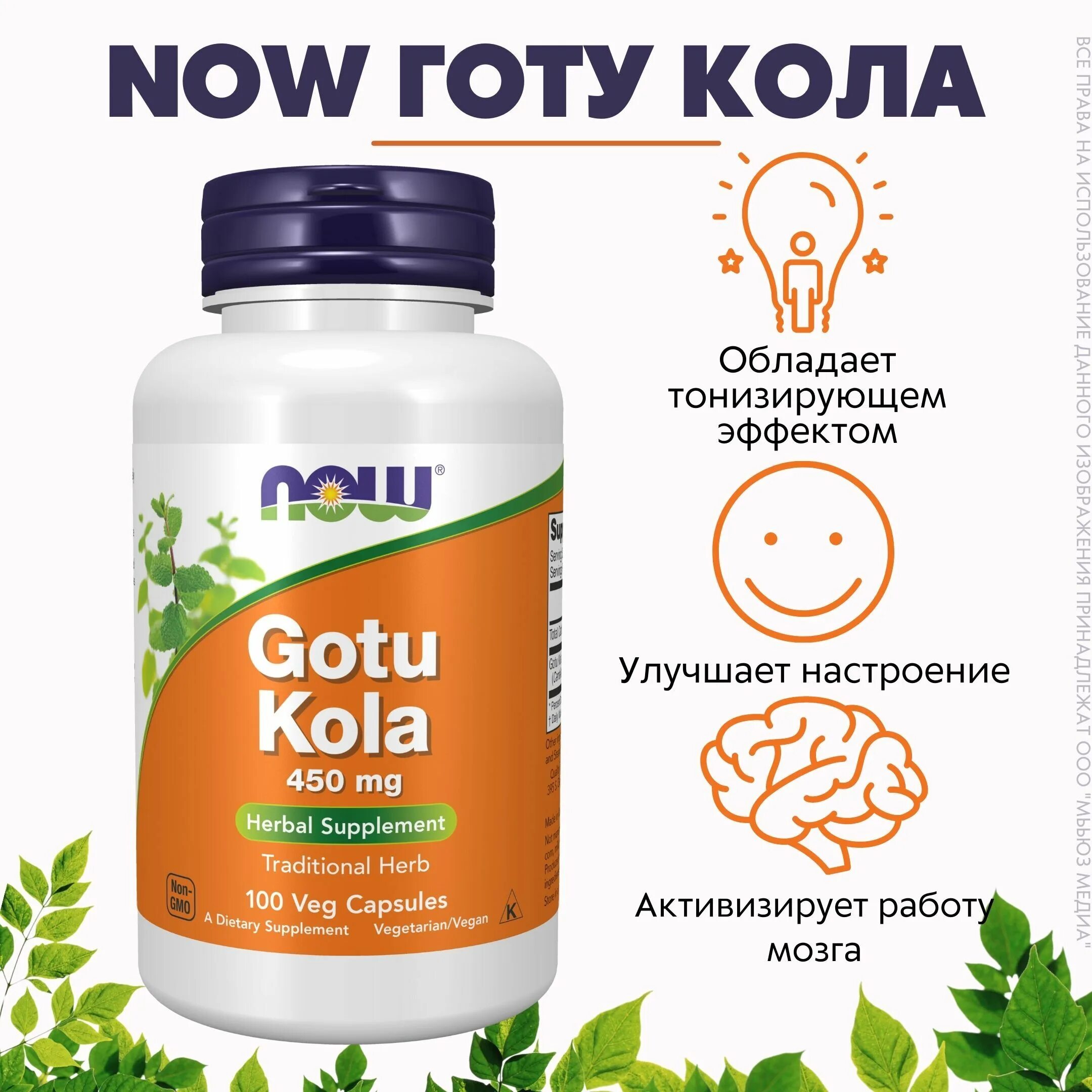 Gotu kola 450. Now Gotu kola 450 MG, 100 VCAPS. Готу кола Now. Центелла азиатская (Готу кола).