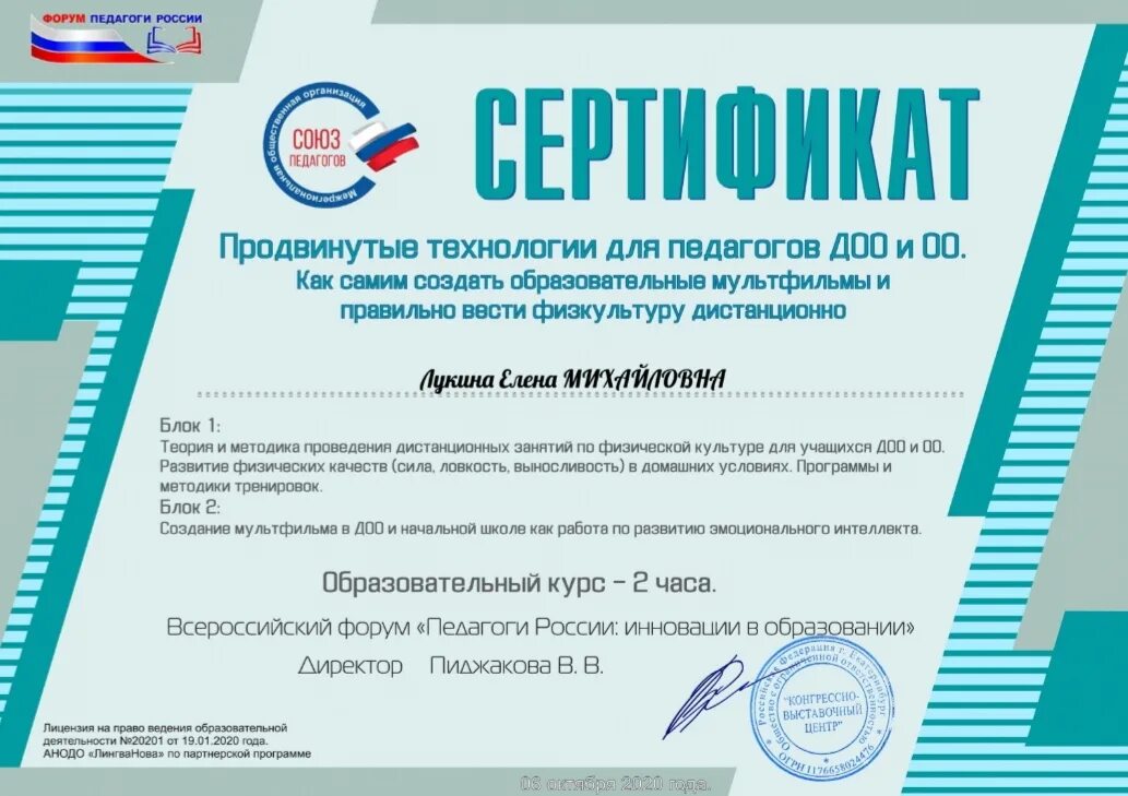 Вебинары достижения