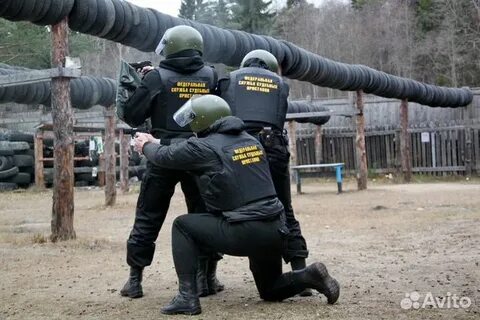 Спец спб