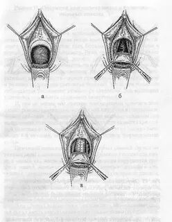 Бірінші минет шок