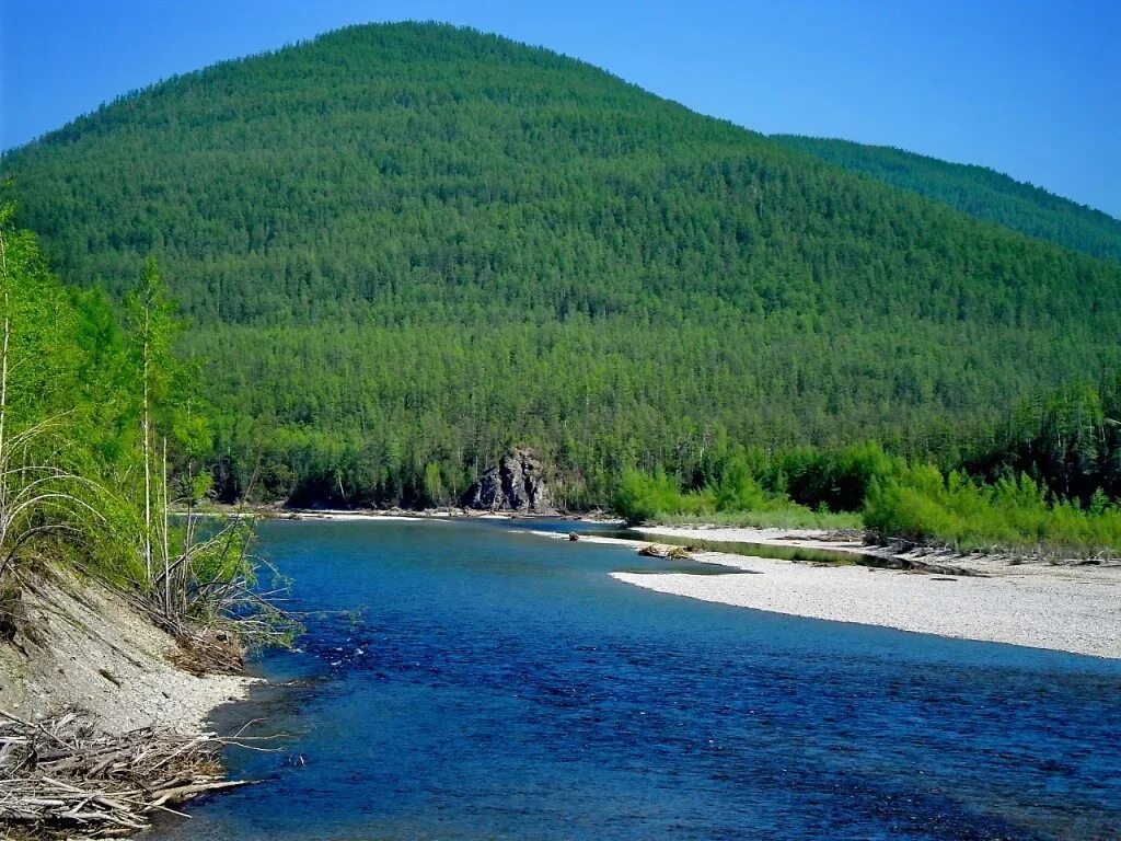 Сколько лет амурской области. Тайга Амурской области. Приамурье Амурская область. Тайга река Зея. Амурская область Зея Тайга.