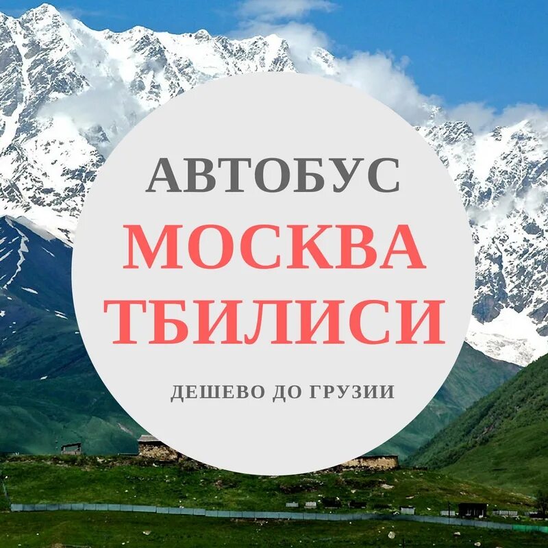 Москва тбилиси есть. Автобус Москва Тбилиси. Маршрутка Москва Тбилиси. Номер телефона автобус Москва Тбилиси. Автобус Москва Грузия.