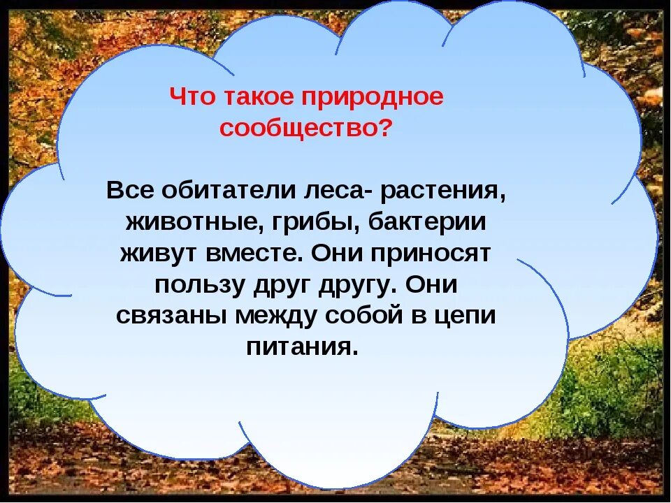 Природное сообщество леса составляют. Природное сообщество лес. Природное сообщество окружающий мир. Сведения о природных сообществах 2 класс. Природные сообщества 3 класс.