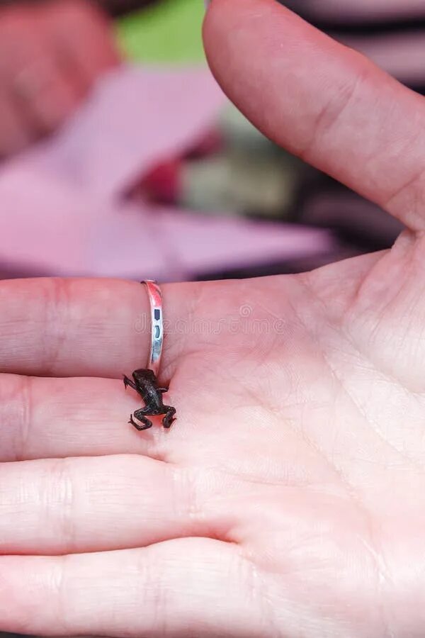 Click the smallest
