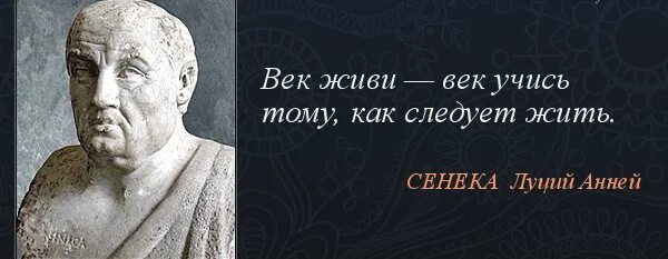 век живи век учись. сенека крылатые фразы. век живи век учись продолжение. автор фразы век живи век учись. луций анней сенека высказывания.