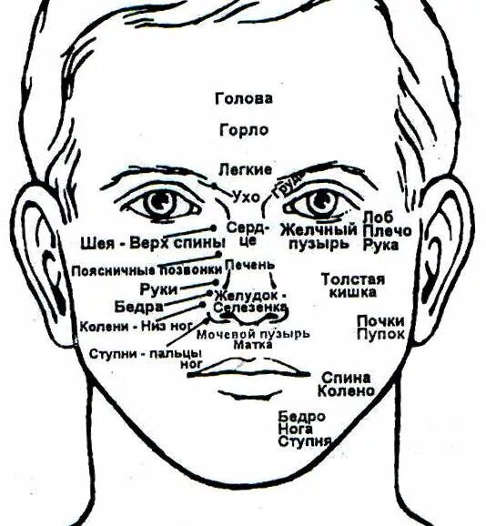 Отражались какое лицо. Рефлекторные точки лица по Огулову. Огулов проекционные зоны лицо. Схема проекция органов на лице человека. Проекция прыщей на лице на внутренние органы.