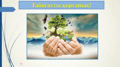 Әйелдер порносындағы кең жамбас