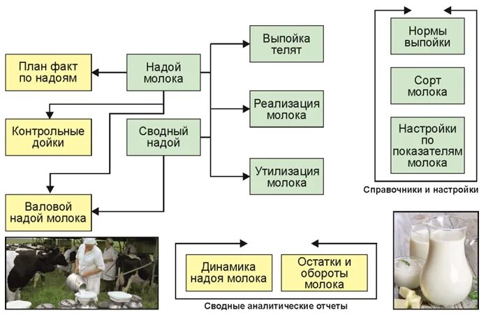 "Структура управления сельским хозяйством РФ. Отдел сельского хозяйства. Учет молока. Схема технологии управления животноводством.