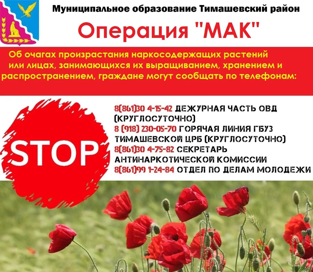 Оперативно профилактической операции мак. Операция мак листовки. оперативно-профилактической операции «мак-2025».. памятка операция мак. операция мак 2025 краснодарский край.