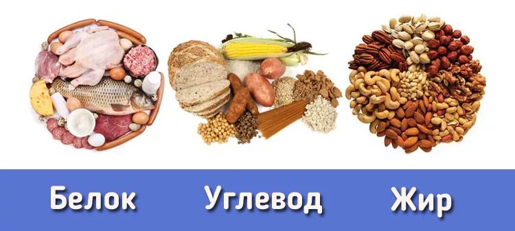 Как сильно набрать вес. Что нужно есть бы набрать вес. Как набрать вес. Что нужно есть чтобы набрать вес. Продукты чтобы быстро поправиться.