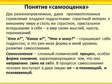 Самооценка эссе