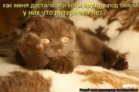Что именно вы не понимаете