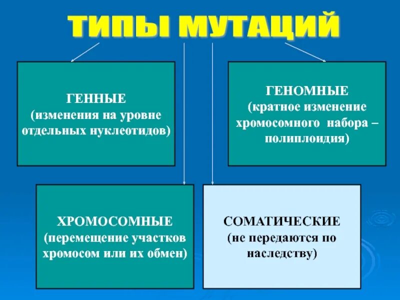 5 геномных мутаций. Генные геномные хромосомные мутации таблица примеры. типы мутаций. типы генных мутаций. классификация мутаций генные хромосомные геномные.