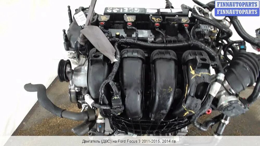 Двигатели форд фокус бензин. Мотор форд фокус 1. Мотор фокус 2 1. 4. Ford focus 2 2.